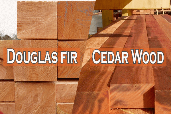 Douglas fir vs Cedar Wood