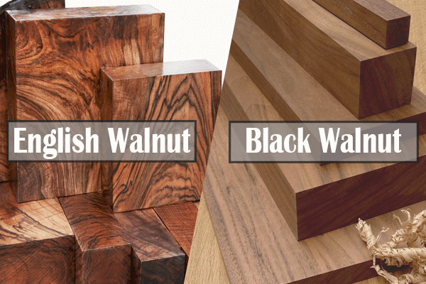 English Walnut vs Black Walnut Wood