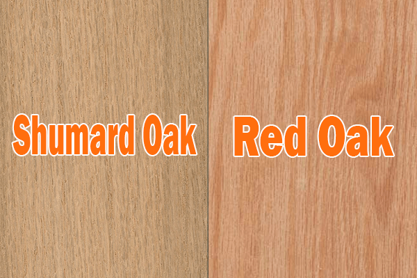 Shumard Oak vs Red Oak