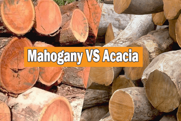 Mahogany Vs Acacia Wood