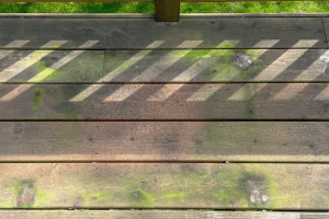 How to Remove Green Mold from Wood Deck